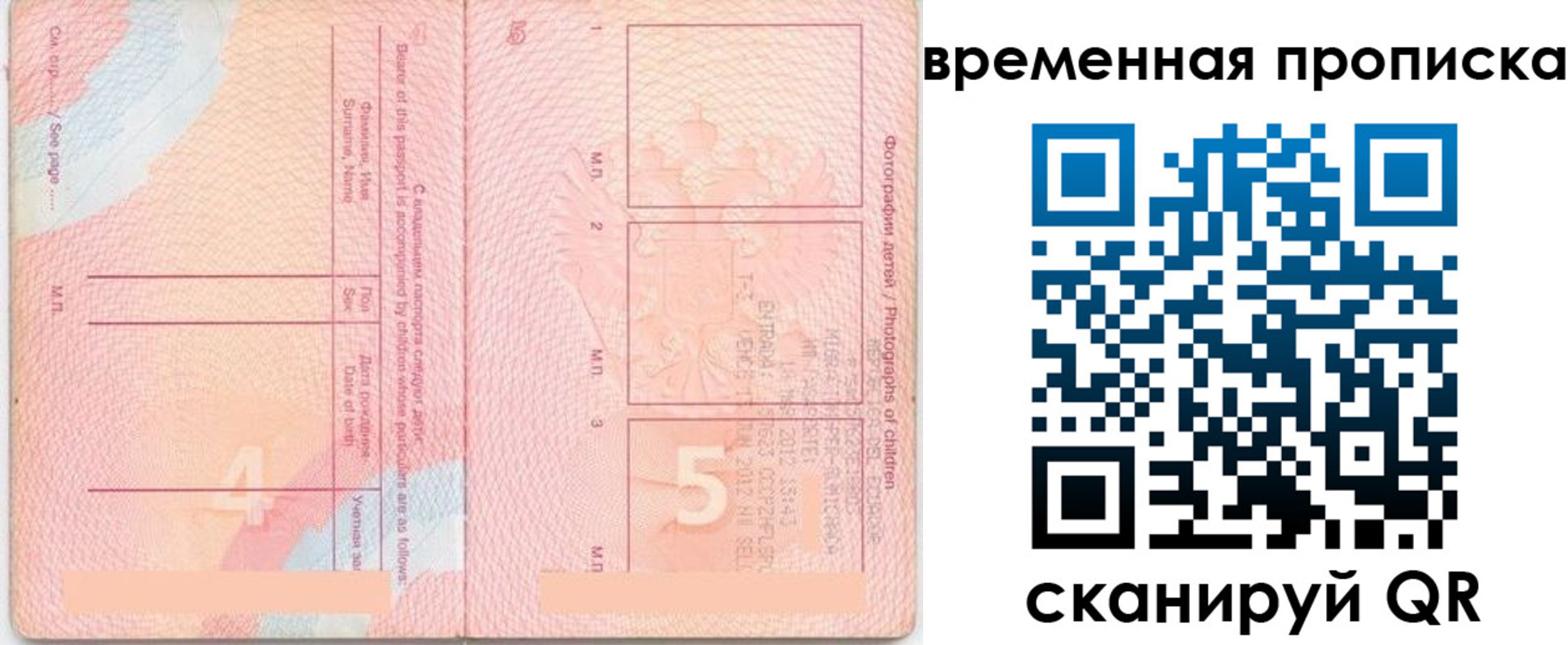 прописка для школы в Данкове